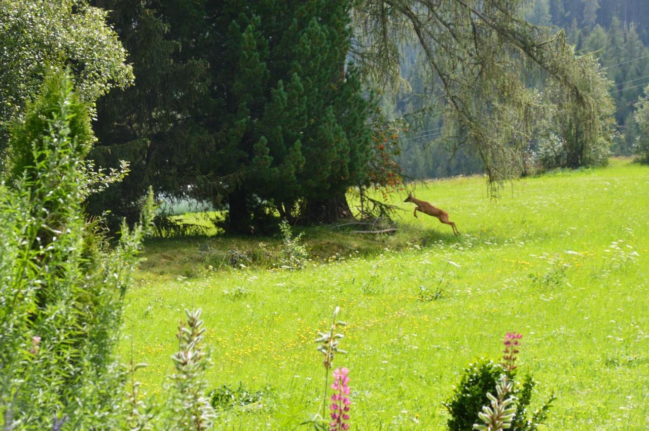 Landhaus Kaulfuss Sankt Jakob in Defereggen Esterno foto
